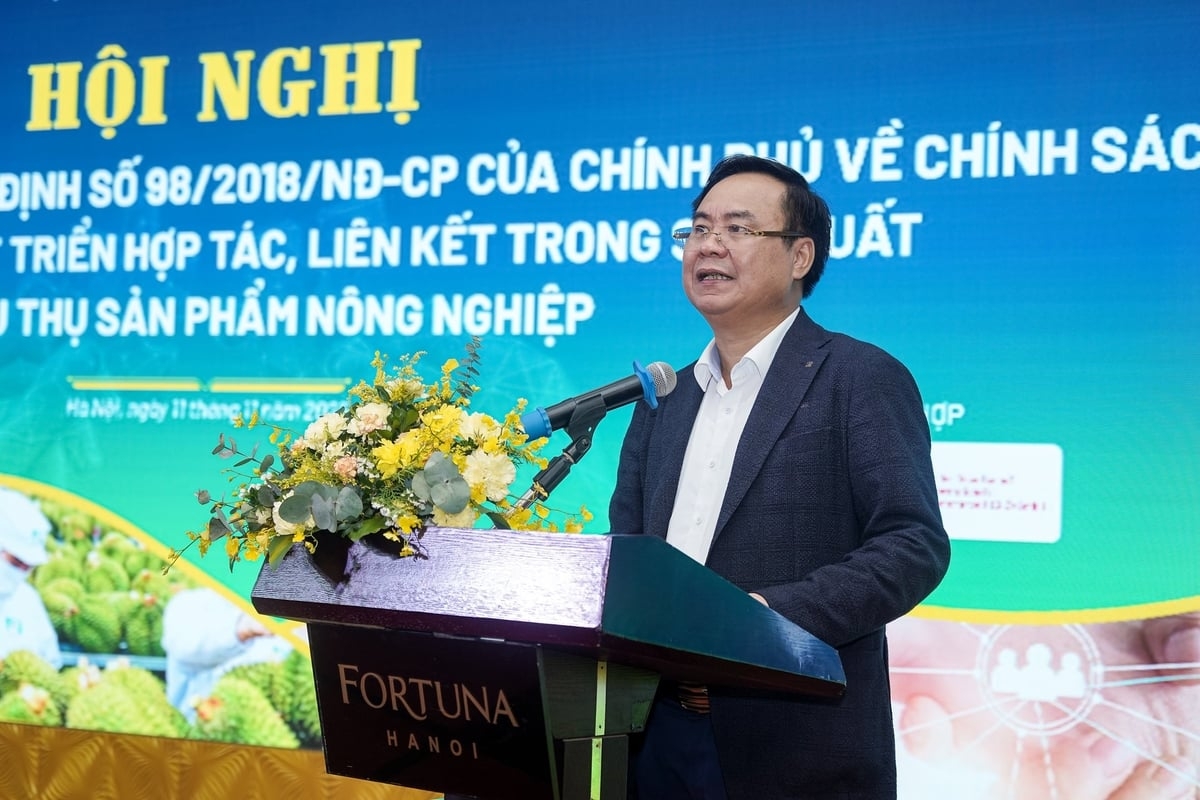 Thứ trưởng Võ Văn Hưng:&nbsp;Năng lực của nhiều hợp tác xã còn yếu, chưa đủ sức trở thành trung tâm của liên kết.