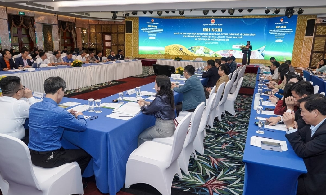 Liên kết chuỗi giá trị là “chìa khóa thể chế” cho nông nghiệp hiện đại