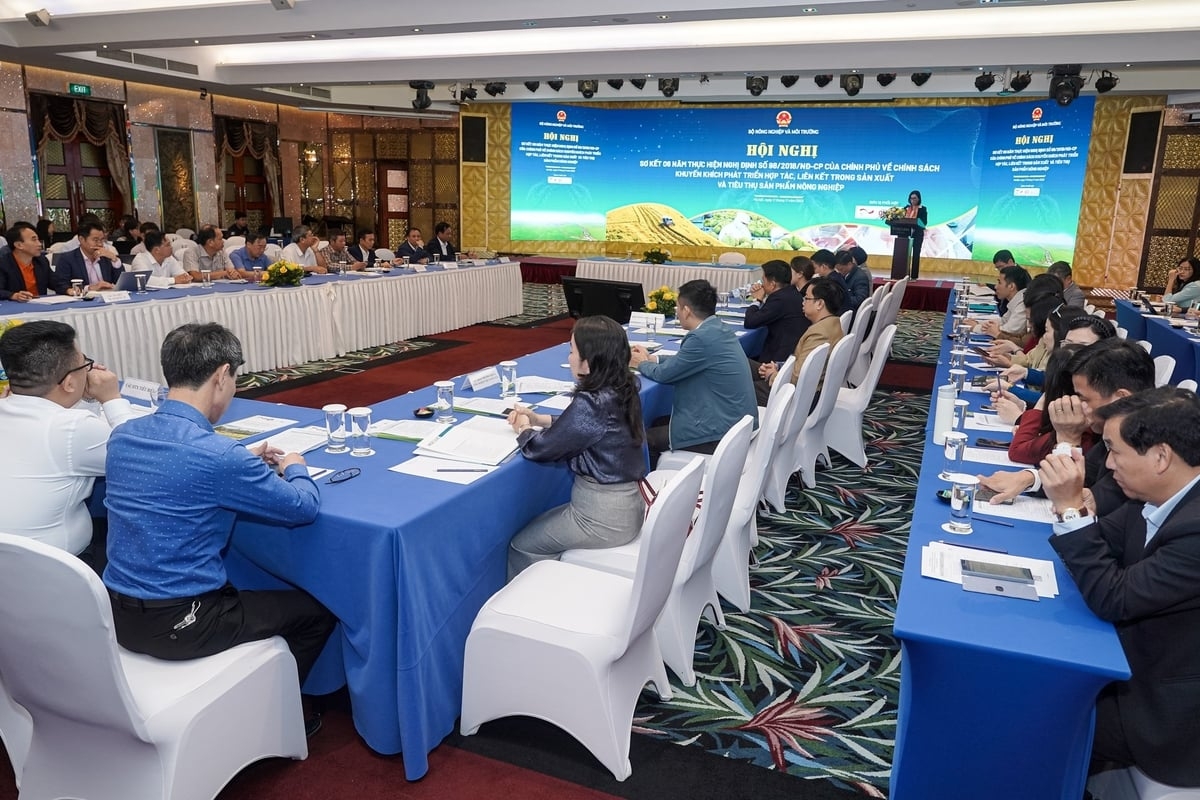 Quang cảnh hội nghị.