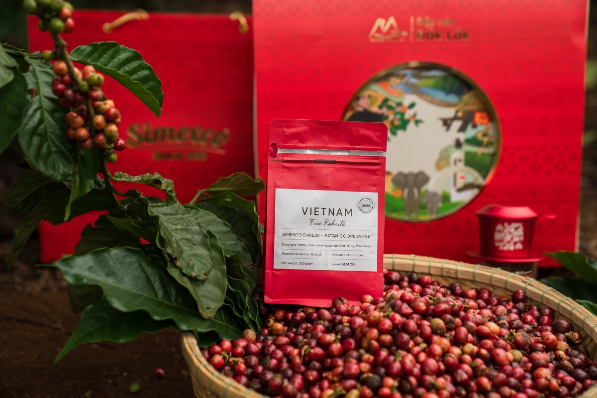 Việt Nam hiện đang là quốc gia dẫn đầu trong sản xuất cà phê Robusta.