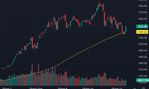 Dòng tiền hào hứng đẩy giá, VN-Index tăng mạnh nhất 30 phiên