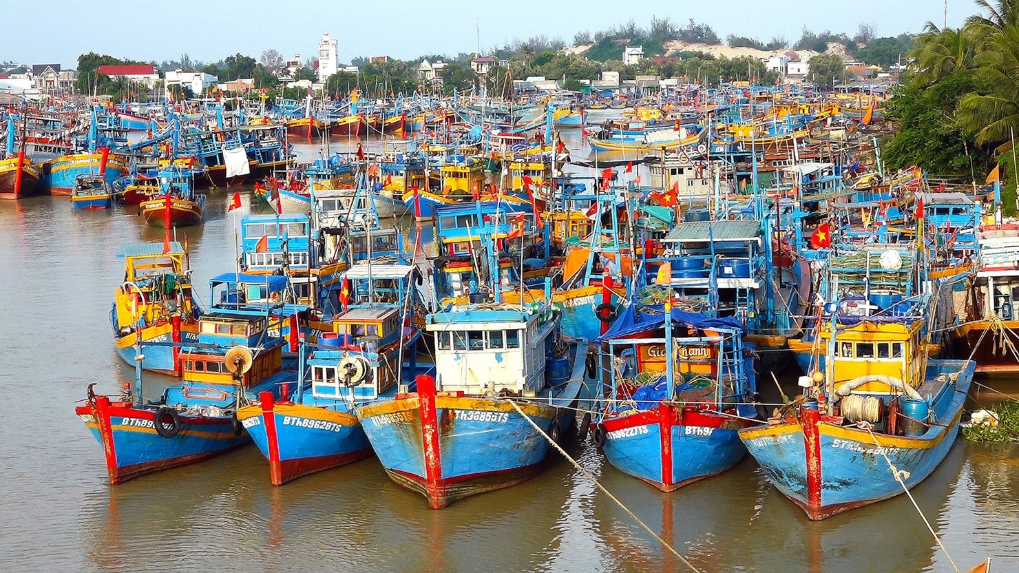 Kiểm soát chặt chẽ các tàu đánh cá.