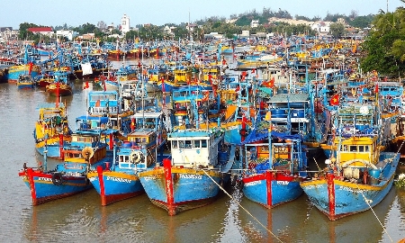 Thủ tướng yêu cầu chấm dứt tình trạng “đánh bắt bằng mọi giá”, quyết tâm gỡ “thẻ vàng” IUU