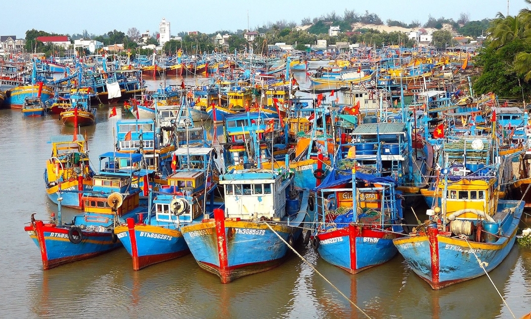 Kiểm soát chặt chẽ các tàu đánh cá.