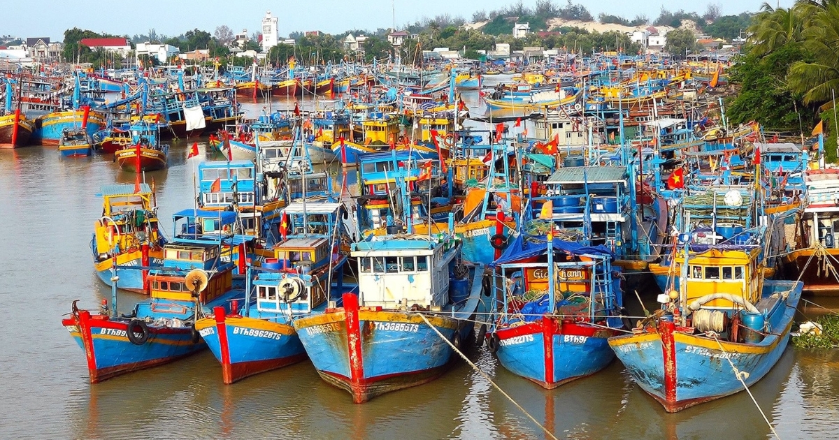 Thủ tướng yêu cầu chấm dứt tình trạng “đánh bắt bằng mọi giá”, quyết tâm gỡ “thẻ vàng” IUU