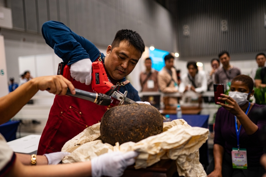 Cafe Show & Tea Show Hanoi 2025 sẽ mang tới những trải nghiệm độc đáo như thạch cổ trà hay Cupping cà phê rang.