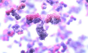 Việc sử dụng công cụ trí tuệ nhân tạo có thể đẩy nhanh quá trình phát hiện kháng thể từ vài tháng xuống còn vài tuần. Ảnh: Đại học Washington