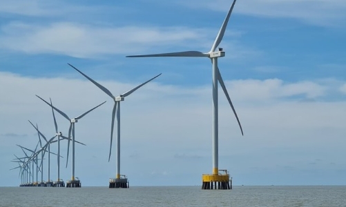 Chuyển dịch năng lượng và nhiên liệu sinh học: Động lực tạo đột phá cho kinh tế xanh