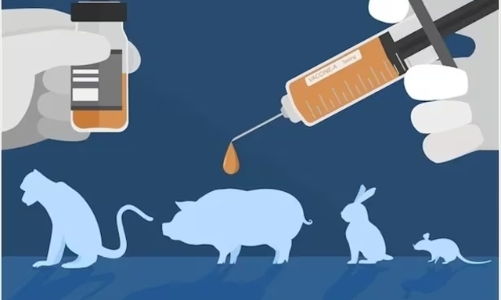 Anh sẽ loại bỏ thử nghiệm trên động vật bằng AI, in sinh học 3D