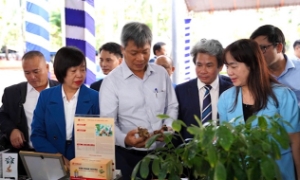 Khai thác tiềm năng, phát triển nông nghiệp xanh 