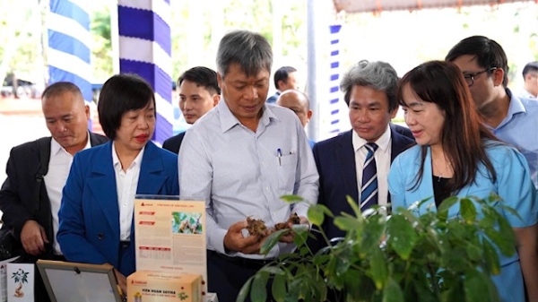 Khai thác tiềm năng, phát triển nông nghiệp xanh 