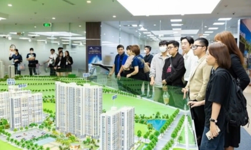 Triển khai xây dựng Bộ Tiêu chuẩn hành nghề môi giới bất động sản Việt Nam 