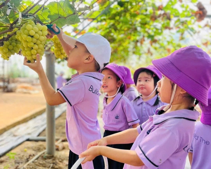 Trẻ nhỏ háo hức tham gia hoạt động “làm nông dân một ngày” tại nông trại của Duyên.