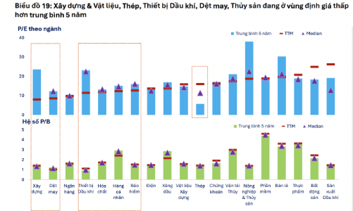 Nếu loại trừ nhóm Vingroup và Gelex, định giá nhóm Phi Tài chính ở mức thấp nhất 5 năm 
