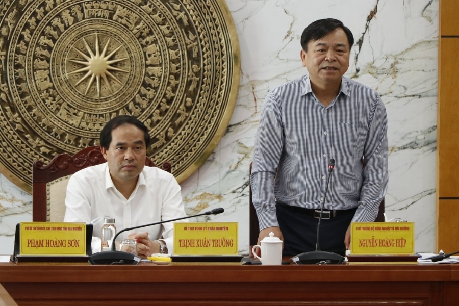 Thứ trưởng Nguyễn Hoàng Hiệp: 