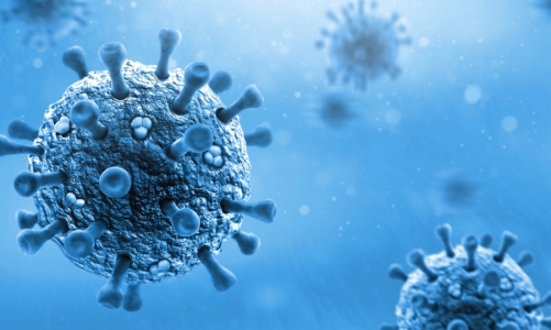 Việt Nam có nguy cơ cao xâm nhập virus bại liệt 