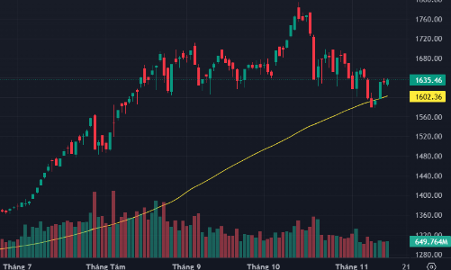 Cung cầu cân bằng, VN-Index đã “chắc chân” trên mốc 1600 điểm?