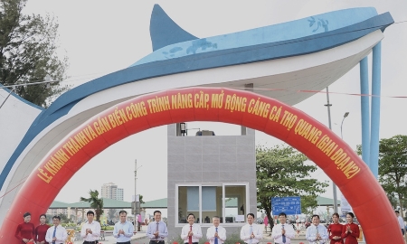 Đà Nẵng nâng tầm cảng cá Thọ Quang thành Trung tâm nghề cá lớn nhất khu vực miền Trung