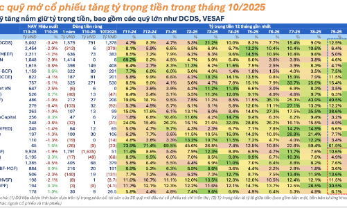 Các quỹ cổ phiếu quy mô lớn hơn 1.000 tỷ đều thận trọng gia tăng tiền mặt