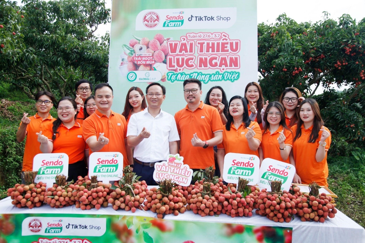 Đem nông sản, đặc sản từ vùng trồng đến tận tay người tiêu dùng - Tuần lễ Vải thiều Lục Ngạn (Ảnh: Sendo Farm).