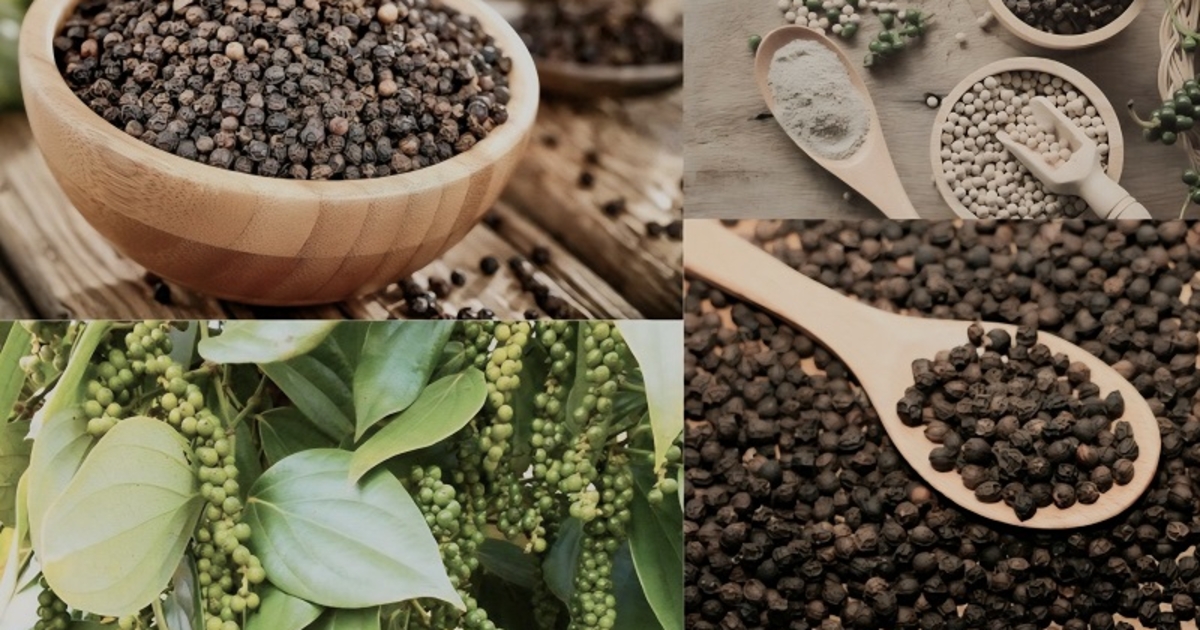 Quảng Trị kiến nghị giải pháp thúc đẩy xuất khẩu nông sản thế mạnh sang EU