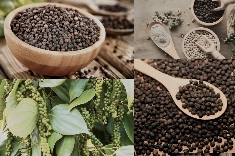 Hồ tiêu là một trong những sản phẩm thế mạnh của tỉnh Quảng Trị.