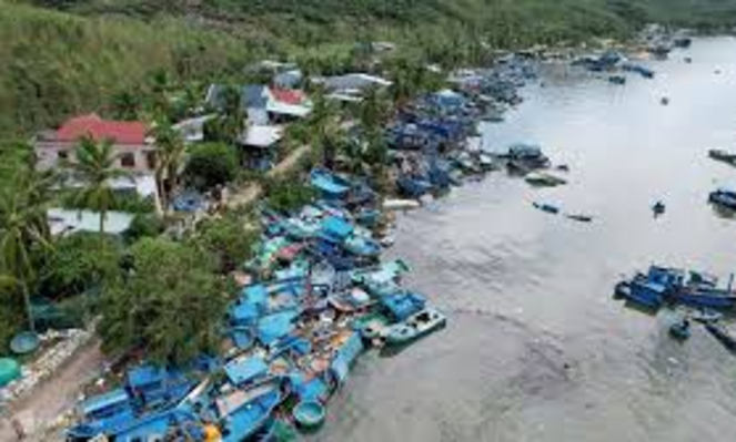 New Zealand provides over $500,000 to support Vietnam recover from natural disasters 