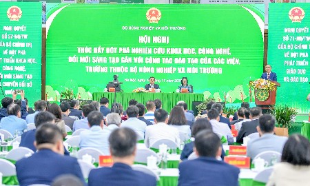 Mở không gian mới cho nông nghiệp: Đột phá từ khoa học, công nghệ và tri thức