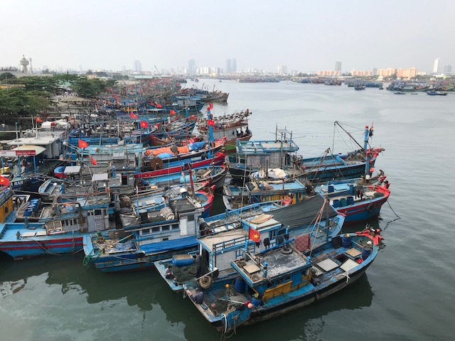 Tàu cá của ngư dân miền Trung trú tránh bão tại Âu thuyền-cảng cá Thọ Quang. Ảnh Ngô Anh Văn