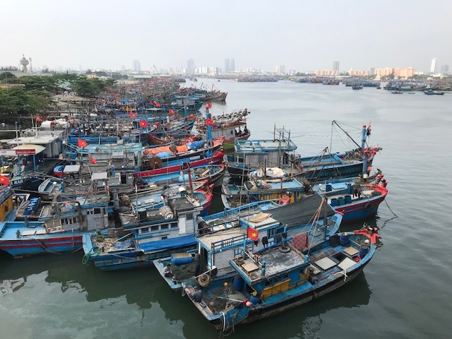 Tàu cá của ngư dân miền Trung trú tránh bão tại Âu thuyền-cảng cá Thọ Quang. Ảnh Ngô Anh Văn