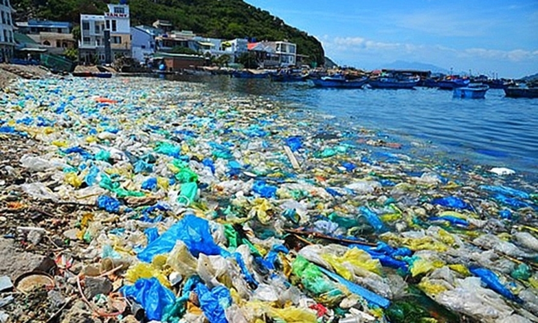 Giảm 2.000 tấn rác thải nhựa, cải thiện 13.400 ha sinh cảnh biển