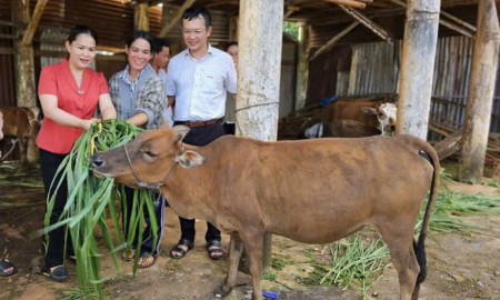 Gia Lai đạt nhiều kết quả từ Chương trình mục tiêu quốc gia giảm nghèo bền vững