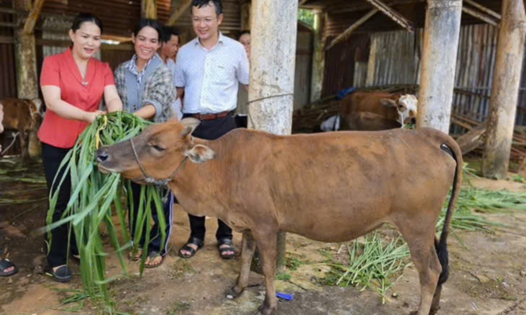Gia Lai đạt nhiều kết quả từ Chương trình mục tiêu quốc gia giảm nghèo bền vững