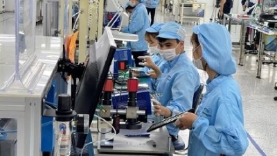 Momentum from IIP growth