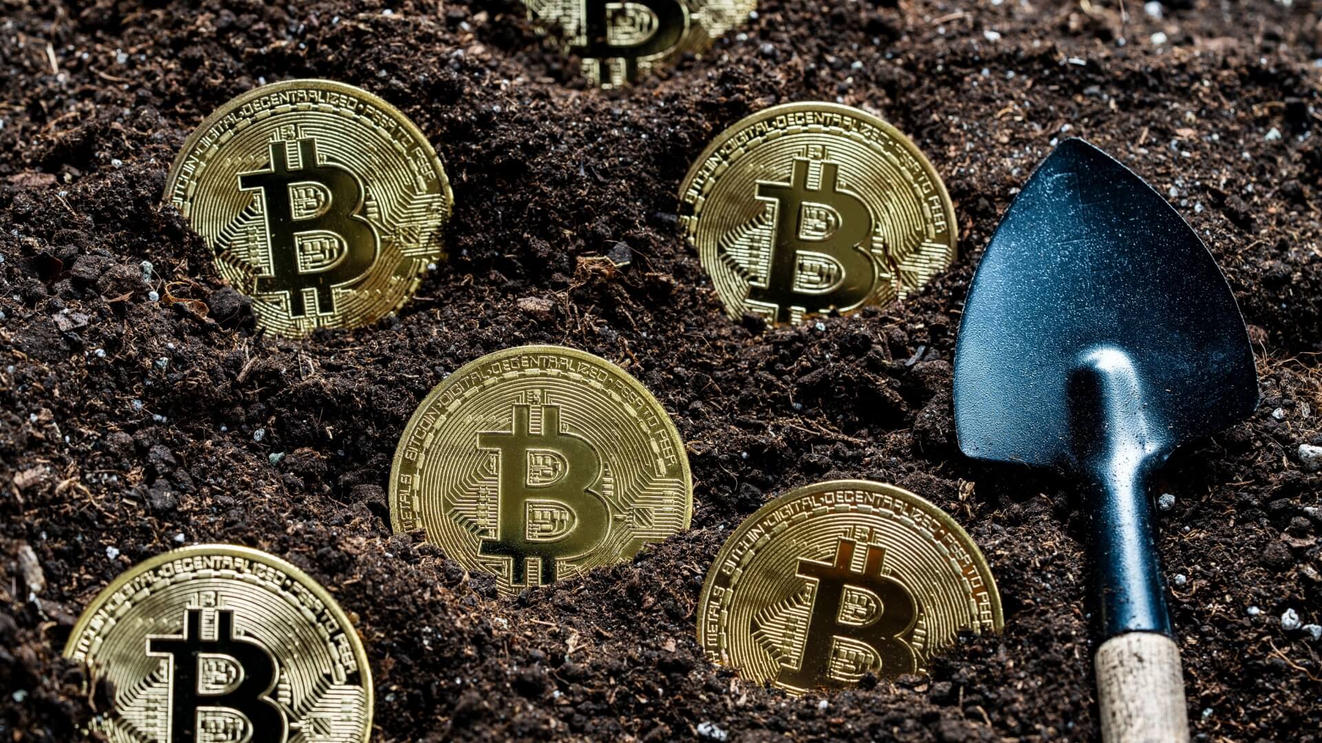 Một công ty “đào” Bitcoin hàng đầu sắp rút lui khỏi lĩnh vực tiền điện tử, để chuyển sang AI 