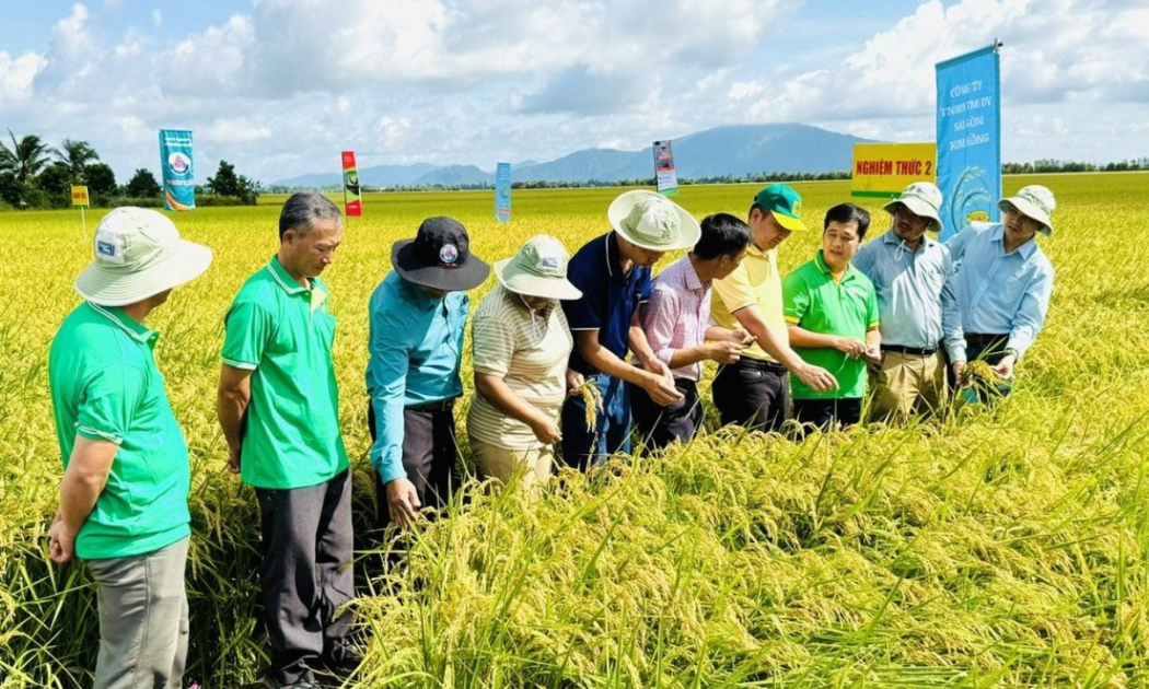 Nông dân tại An Giang được tập huấn đo lường giảm phát thải.