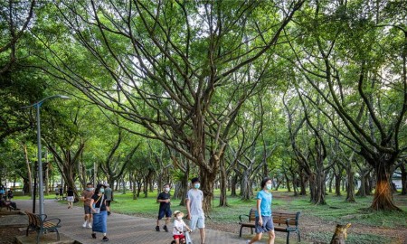 Ảnh minh họa.
