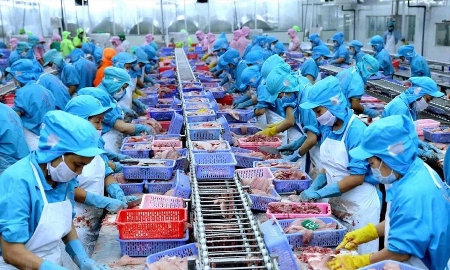 Xuất khẩu thủy sản 10 tháng: Tôm và cá tra tăng trưởng mạnh, cá ngừ sụt giảm