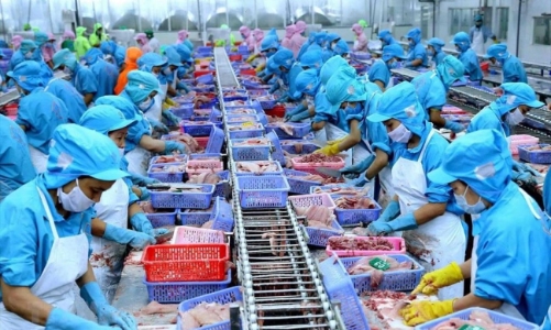Xuất khẩu thủy sản 10 tháng: Tôm và cá tra tăng trưởng mạnh, cá ngừ sụt giảm