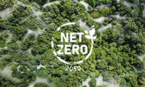 Việt Nam trong làn sóng tái cấu trúc tài chính khí hậu toàn cầu