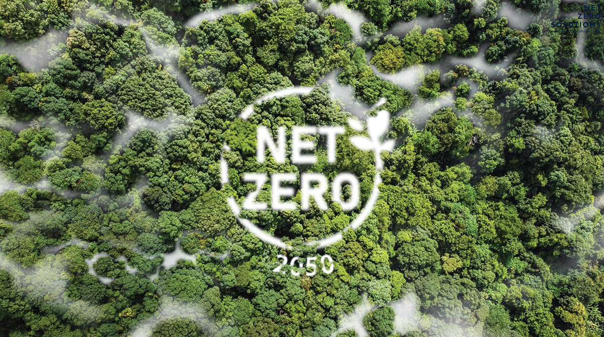 Việt Nam, với cam kết đạt phát thải ròng bằng 0 vào năm 2050, đã nổi lên như một điểm đến tiềm năng trong dòng chảy tài chính xanh toàn cầu. Ảnh minh họa