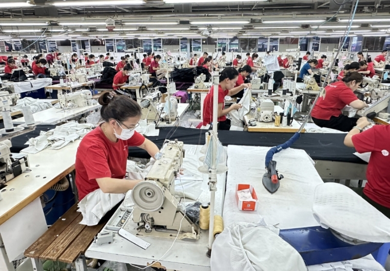 Newly registered enterprises on the rise