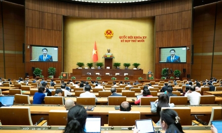 Cần có chính sách khuyến khích các tổ chức, doanh nghiệp tham gia dự trữ quốc gia