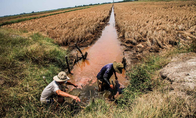 A $5-million climate finance project launched in Vinh Long