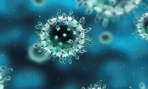 Các chủng virus cúm lưu hành chủ yếu tại Việt Nam chưa ghi nhận thay đổi về độc lực 