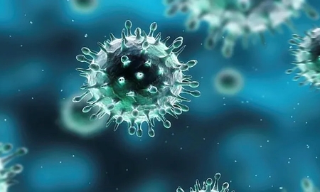 Các chủng virus cúm lưu hành chủ yếu tại Việt Nam chưa ghi nhận thay đổi về độc lực