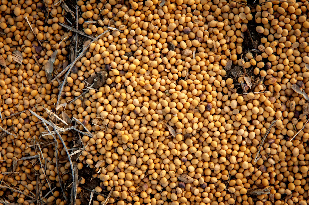 Ảnh minh họa - Ảnh: Bloomberg.