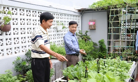 Việc trồng cây trên mái nhà, tường nhà hay sân thượng không chỉ điều hòa nhiệt độ, cải thiện chất lượng không khí, mà còn giảm tiếng ồn và tăng mỹ quan đô thị. Ảnh: Trần Trúc
