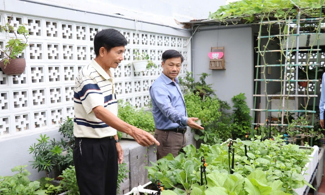 Việc trồng cây trên mái nhà, tường nhà hay sân thượng không chỉ điều hòa nhiệt độ, cải thiện chất lượng không khí, mà còn giảm tiếng ồn và tăng mỹ quan đô thị. Ảnh: Trần Trúc