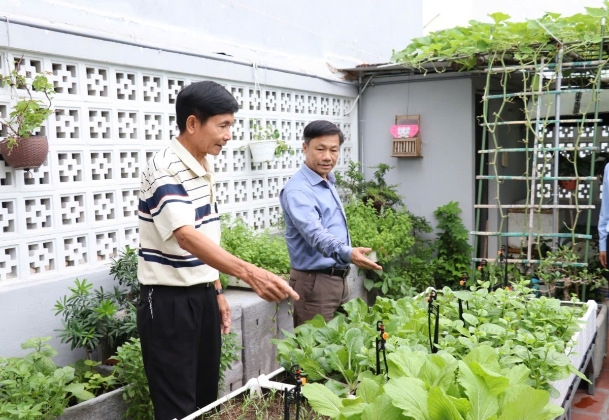 Việc trồng cây trên mái nhà, tường nhà hay sân thượng không chỉ điều hòa nhiệt độ, cải thiện chất lượng không khí, mà còn giảm tiếng ồn và tăng mỹ quan đô thị. Ảnh: Trần Trúc